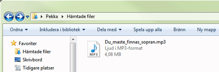Musikfilen i mappen Hämtade filer